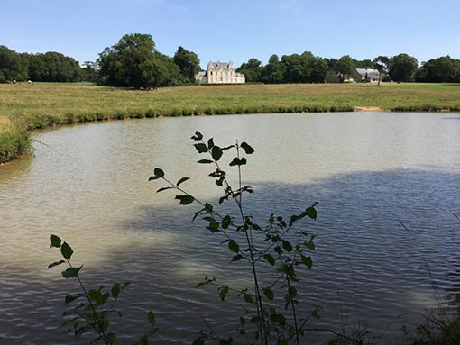 Domaine du Chalonge