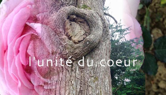 Unité du coeur