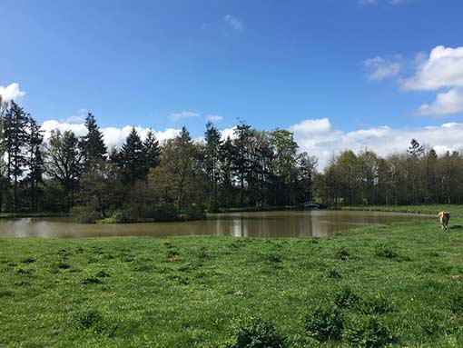 Domaine du Chalonge - Nantes